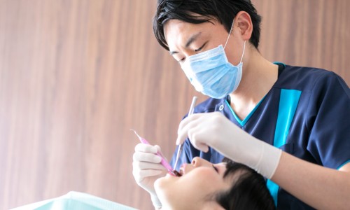 人参功效大揭秘-人参功效大补元气、人参功效大揭秘 -人参功效大网