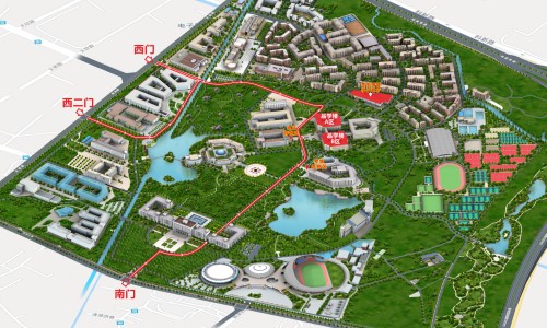 人参须的功效和作用-人参功效大补元气、人参功效大揭秘 -人参功效大网